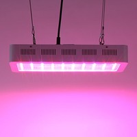 Galaxyhydro 300w Led Grow Light Full Spectrum For Greenhouse And Indoor Plant Fl on sale Galaxyhydro 300w Led Grow Light Full Spectrum For Greenhouse And Indoor Plant Fl on sale