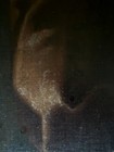 Foto 15 di 24