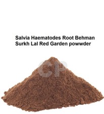 Salvia Haematodes Root Behman Surkh Lal Red Dalmation Sage Powder 50gm 1.7 OZ '