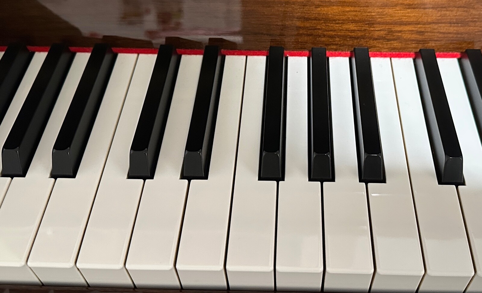 Foto 4 di 7
