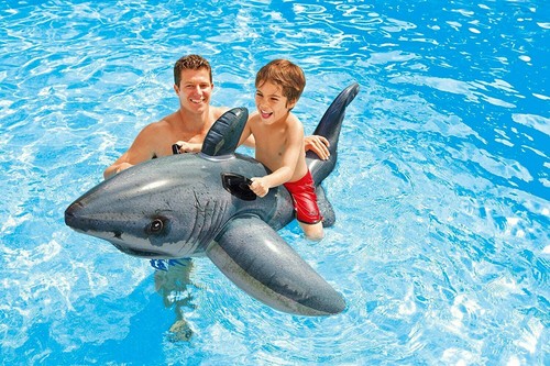 Intex Great White Shark Ride on Kids Children Inflatable Swimming Water Toy - Picture 2 of 3