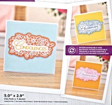 Crafters Companion Interchangeable Pretty Floral Die Sentiment Gemini Expression