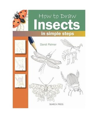 How to Draw: Insects, Dandi Palmer