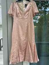 MSRP $199 NWT Arianna Papell Blush Pink Satin Burnout Dress Size 6