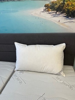 Esprit Black Label Trio 3-Kammer Kopfkissen 50x80 cm schnäppchenpreis