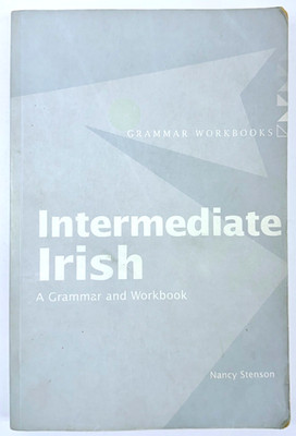 Intermediate Irish a Grammar and Workbook by Nancy Stenson Routledge