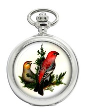 Pine Grosbeak Pocket Watch