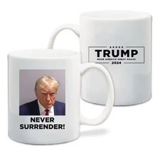 Never Surrender Coffee Mug, Fulton County Cup, Funny Coffee Cup, 11oz or 15oz