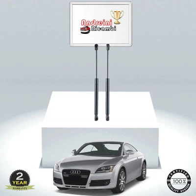 2 MOLLE A GAS BAGAGLIAIO AUDI TT 8J3 2.0 TFSI 147KW 200CV DAL 2007 | 114114