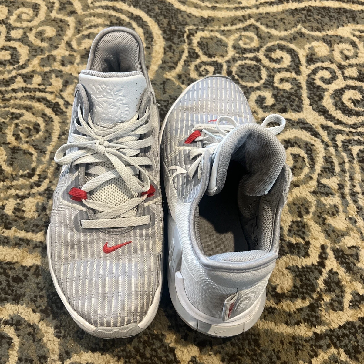 Nike LeBron Witness 6 Pure Platinum for Sale | Authenticity