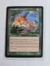 Penumbra Bobcat - Apocalypse - MTG Magic - Common - Green Creature