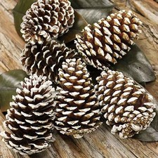 1kg Pine Cones (60-70mm) Fir Pine Cones for Wreaths Christmas Decorations Crafts