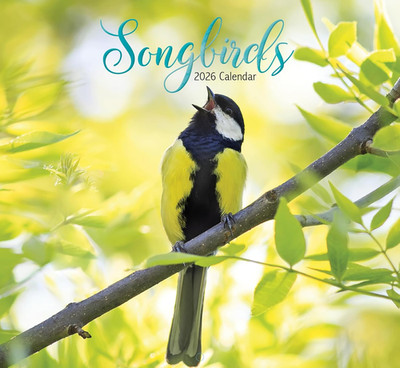Songbirds 2026 Full Size Wall Calendar for Planning, Scheduling, and Organizing
