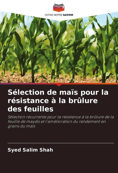 Syed Salim Shah | SéLection De MaïS Pour La RéSistance à La BrûLure Des Feuilles-image