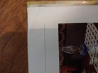 Foto 12 di 12
