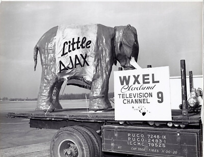WXEL Channel 9 Parade Float Elephant Little Ajax 1950s 8 x 10 Photograph