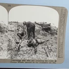 WW1 Military Stereoview C1916 Real Photo Ypres Belgium Zouave Woods 6Th Div Loss