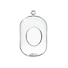 WGV Hanging Glass Plant Terrarium, Width 5", Height 8", Lantern DIY Air Succu...