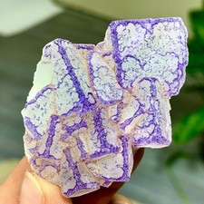 58g Natural Purple