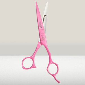 Mizutani Schorem for sale | eBay