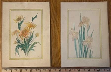 2 Original Vintage Watercolor Paintings, Signed; M. D., Florals On Art Board 5x7