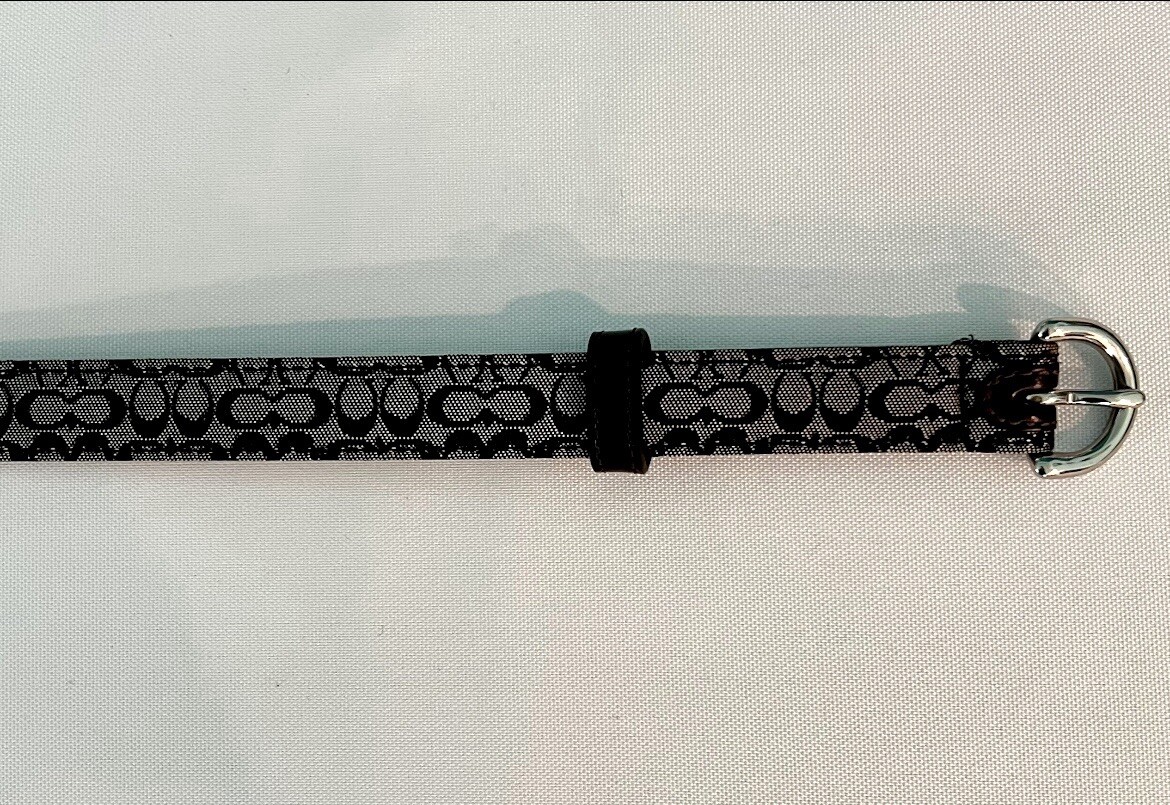 Picture 5 of 11