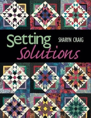 Setting Solutions - Print on Demand Edition by Craig, Sharyn 1571201173