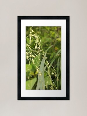Grasblatt gerahmter Kunstdruck gerahmtes Wandbild Poster Leinwanddruck Bild