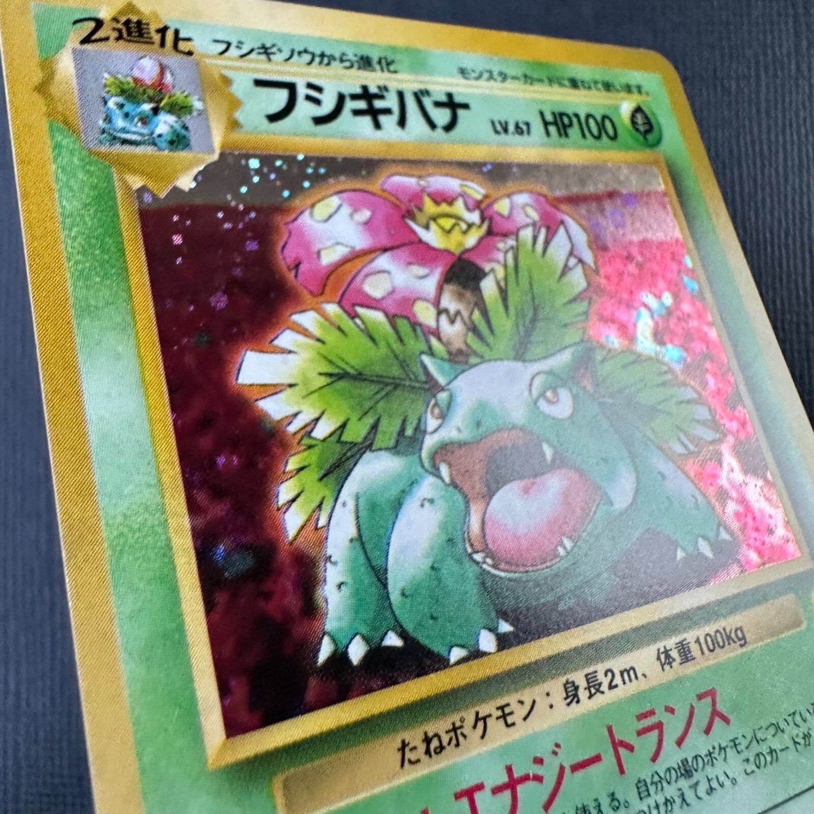 Japanese Holo Venusaur 1999 CD Promo No. 003 Pokemon Card WOTC eBay
