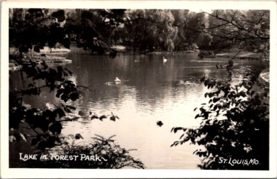 Vintage RPPC Postcard Scene at Lake in Forest Park St. Louis Missouri MO    X701