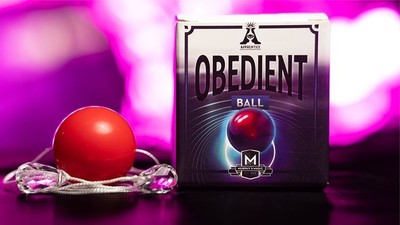 GEHORSAMER BALL von Lehrlingszauber, leicht zu erlernen, tolle Qualität, selbst funktionsfähig!