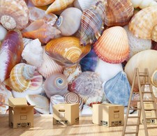 3D Delicate Conch ZHUB7381 Wallpaper Wall Mural Removable Self-adhesive Vera