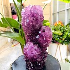 5.93LB  Newly discovered octahedral crystals of purple potassium alum — photo 6