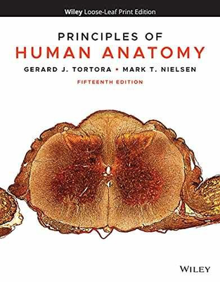 #ad #ad Principles of Human Anatomy Loose Leaf by Tortora Gerard J.; Nielsen Good $100.98