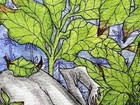 ORIGINAL FANTASY “Too Many Plants” Julie McDaniel 2026 NOT AN ACEO  4”x6” — photo 9