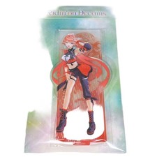 Hololive Takanashi Kiara supporto acrilico Hololive Expo 2026 nuovo