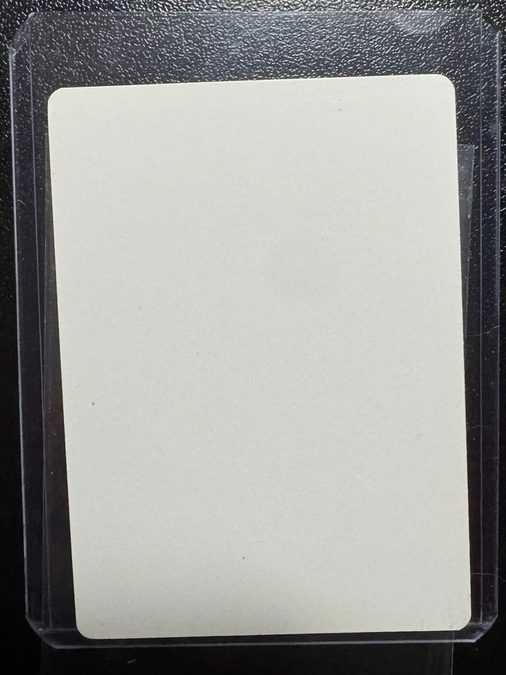 Mtg Artist Proof Ice Age Richard Kane Ferguson 1996 Squatters Orques French #211 - Image 2 of 3