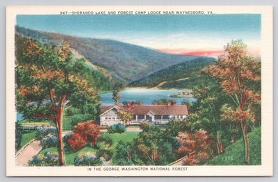 Sherando Lake Forest Camp Lodge Waynesboro VA George Washington Forest Postcard