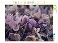 Calvendo Puzzle Frost On Dried Flowers | 1000 Pieces, Finished Size 25.2 × 18.9