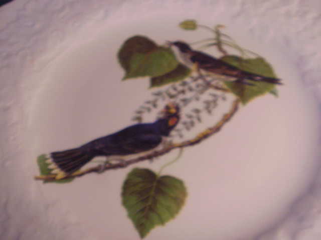 Afbeelding 2 van 5