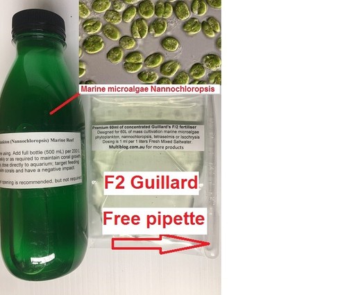 NEW 1 liter F2 Guillard's Phytoplankton Shrimp eggs Brine Aquarium Salt - Picture 3 of 26