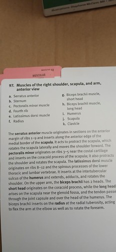Kaplan Medical Anatomy FlashCards 4th Edition Fourth 310 full color cards - Picture 5 of 7