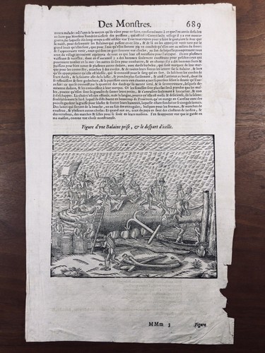 Pêche à la Baleine Cétacé 1614 Rare Gravure Bois Vlissingen Caligula Cétologie - Foto 9 di 9
