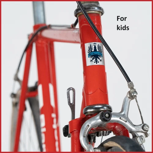 BIANCHI SPRINT 24 KIDS STEEL LUGS VINTAGE OLD ITALIAN ROAD RACING BIKE BICYCLE