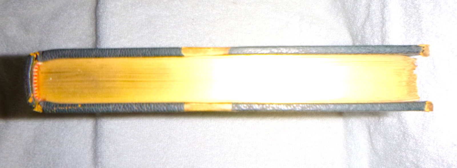 Picture 7 of 10