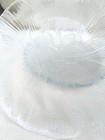 Vtg Y2K Arcoroc Glass Dinner Plates CANTERBURY CROCUS Floral Set 4  10 5/8" 
