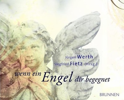 Jürgen Werth Siegfried Fietz Wenn ein Engel dir begegnet (Hardback) (UK IMPORT)