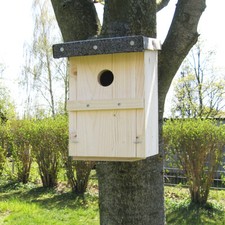 Nisthäuschen Nichoir Brutstätte Bois Naturel pour Chanteurs Mésanges Moineaux