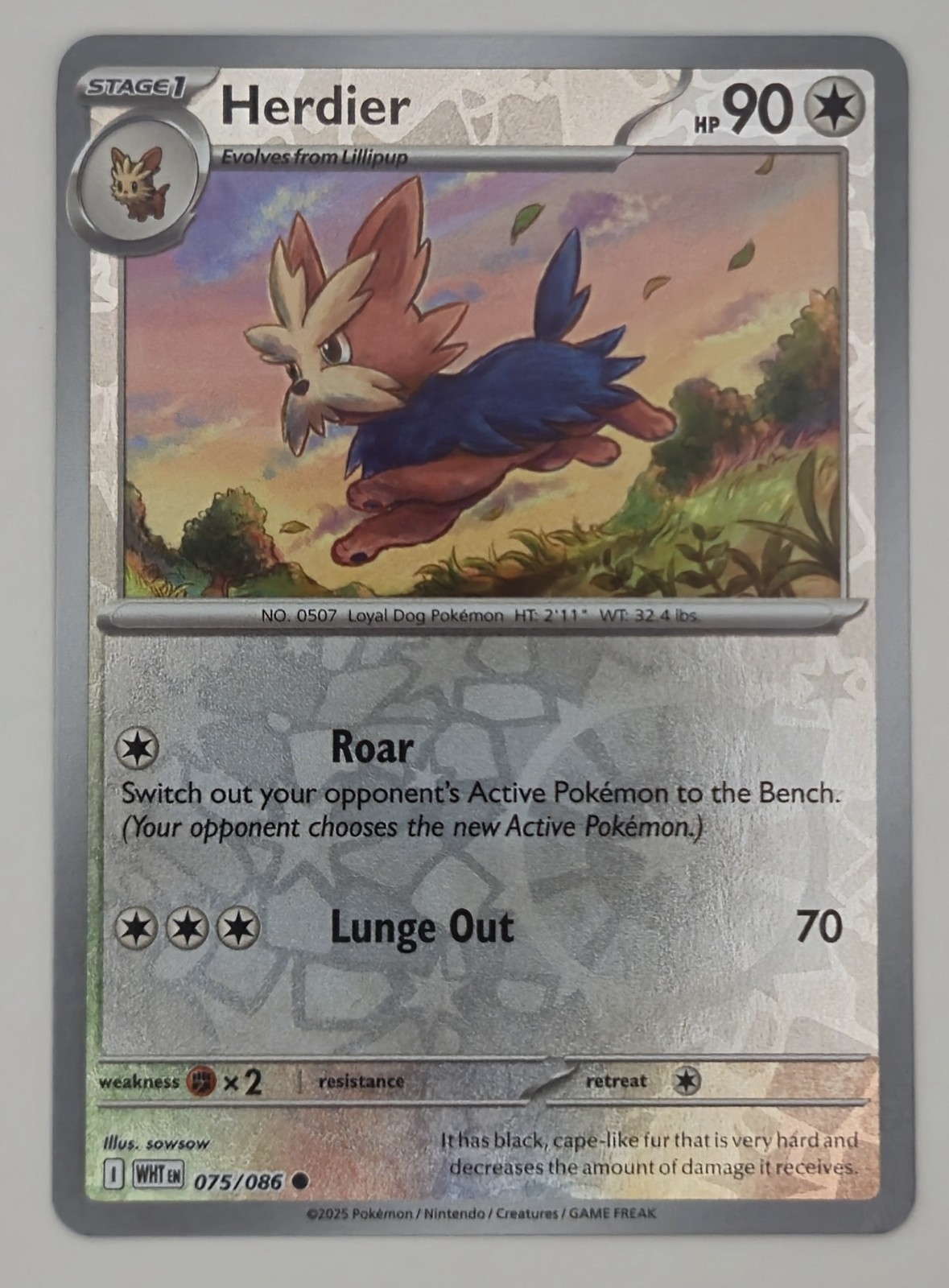 Herdier 075/086 Reverse Holo Reverse Holo Common White Flare Pokemon TCG NM