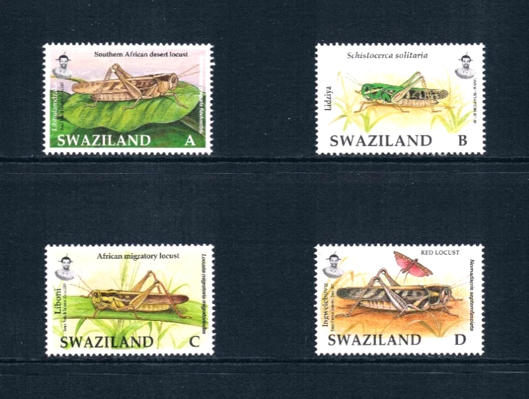 $4.25 Scott Value - 2011 SWAZILAND Insects African scarcer CV MNH NH UM - Image 3 of 4